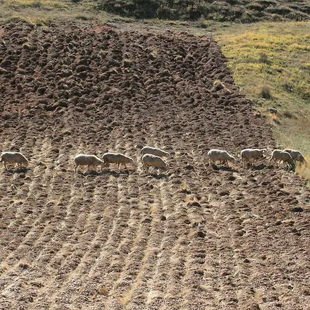 Residenza La Torre 3*