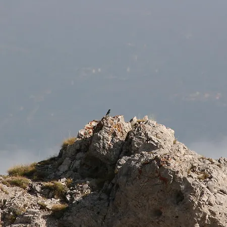 Hotel apartamentowy Residenza La Torre