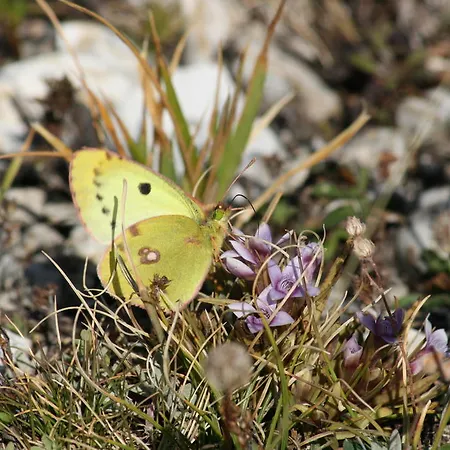 Hotel apartamentowy Residenza La Torre Santo Stefano Di Sessanio