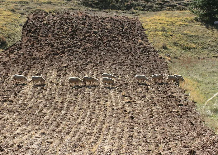 Residenza La Torre 3*