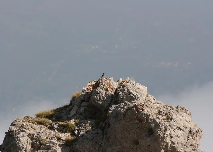 Ξενοδοχείο με διαμερίσματα Residenza La Torre
