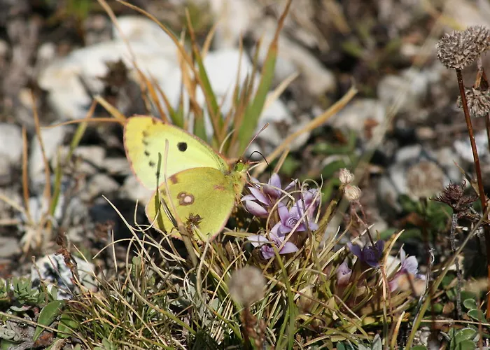 Ξενοδοχείο με διαμερίσματα Residenza La Torre Santo Stefano Di Sessanio