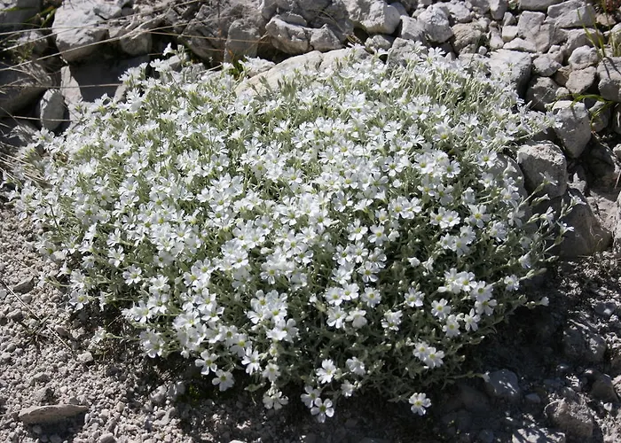 Residenza La Torre 3* Santo Stefano Di Sessanio