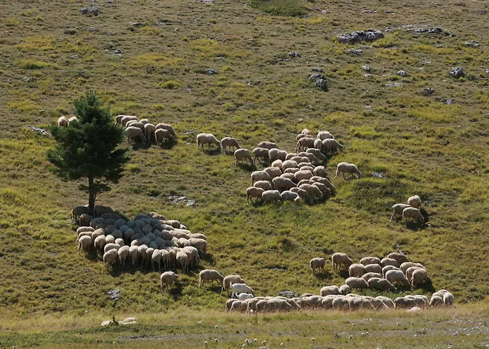 Apart-hotel Residenza La Torre